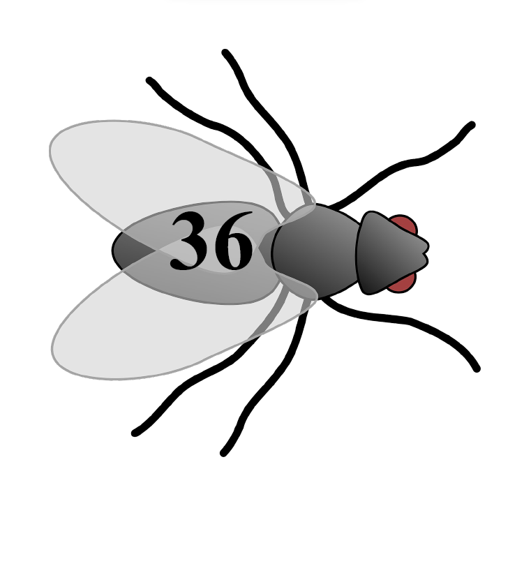 Matematyczne polowanie na muchy – gra matematyczna