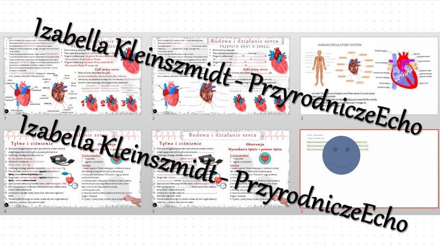 Minizestaw na temat „Budowa i funkcje serca” – sketchnotka + karta pracy w power point + gratisowy link do prezentacji multimedialnej niekomercyjnej wykonanej w genial.ly do indywidualnego pobrania i użycia do celów niekomercyjnych. Biologia 7, „Układ kr