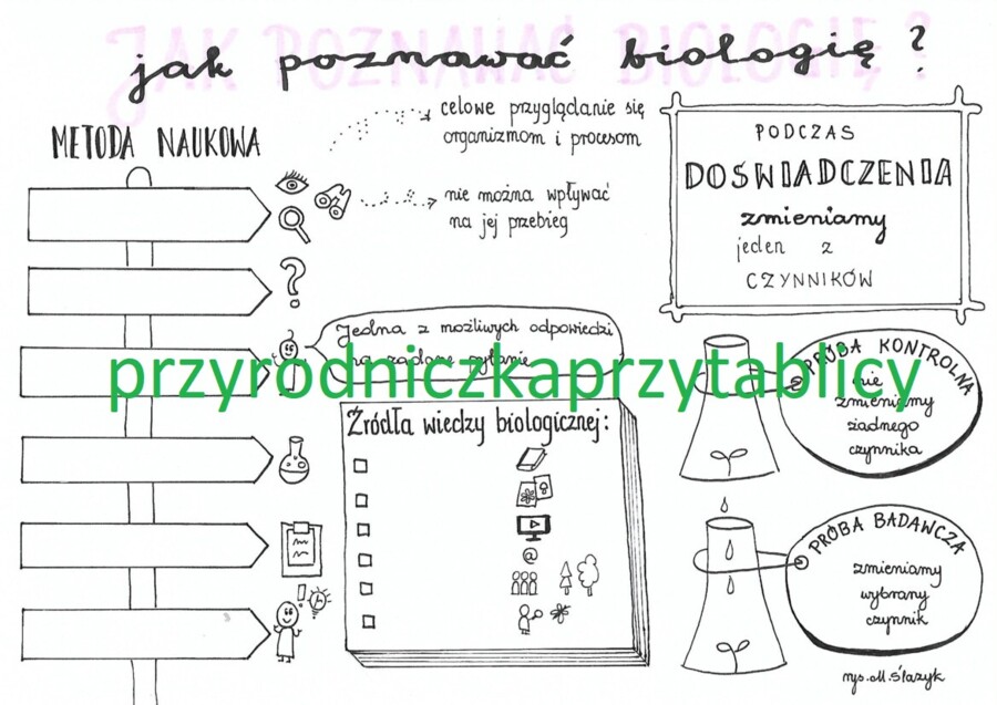 Biologia klasa 5. Jak poznawać biologię? 3 karty