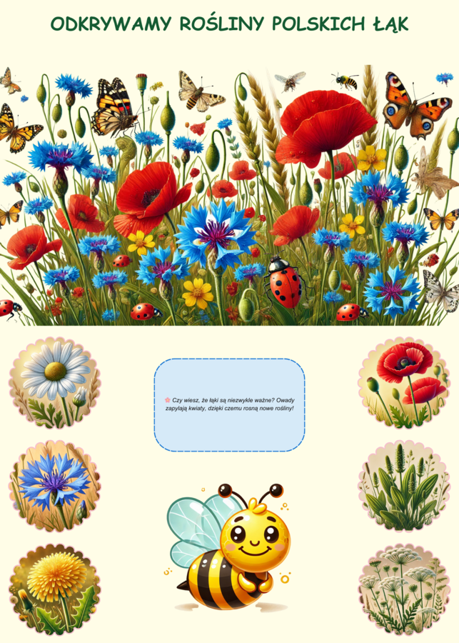 Plansze edukacyjne o grzybach i roślinach