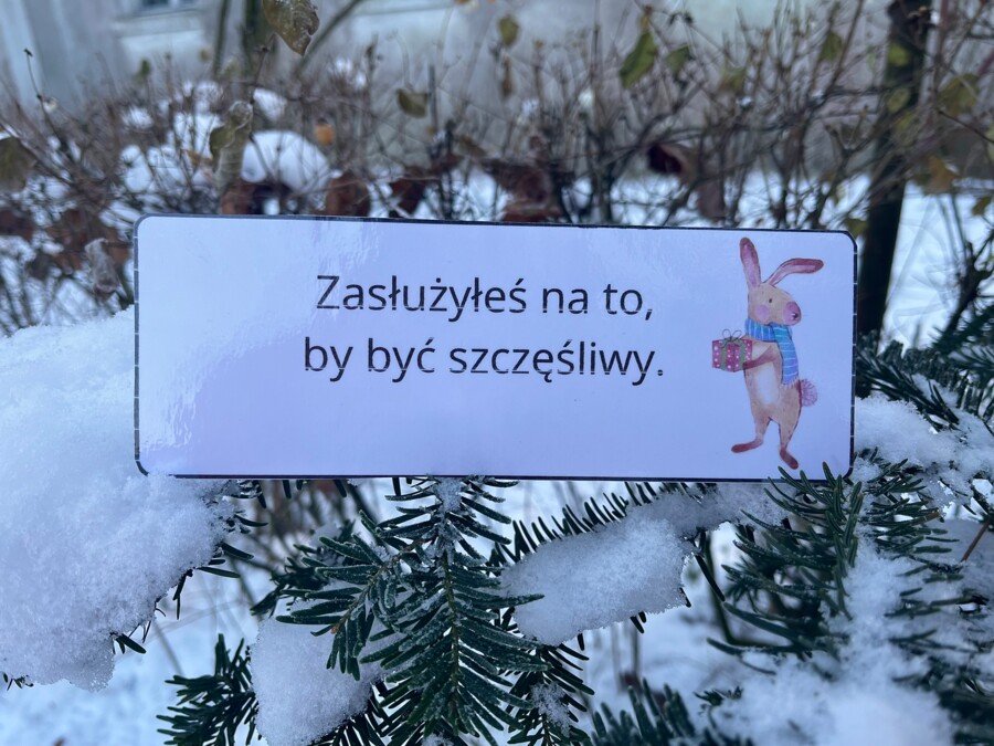 Zdania złożone podrzędnie - przykłady świąteczne - Boże Narodzenie