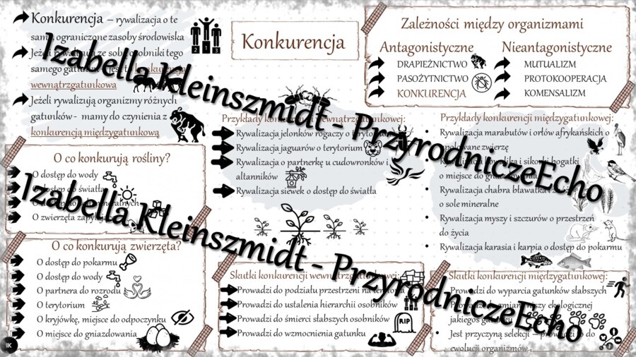 Sketchnotka - notatka „Konkurencja” wykonana w power point do edycji. Biologia 8; „EKOLOGIA”