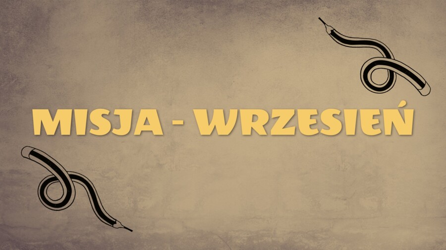 Polonistyczne stacje zadaniowe. Ortografia, części mowy, środki stylistyczne.