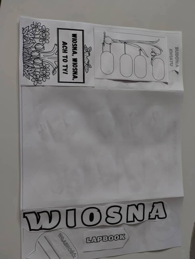 Lapbook wiosna