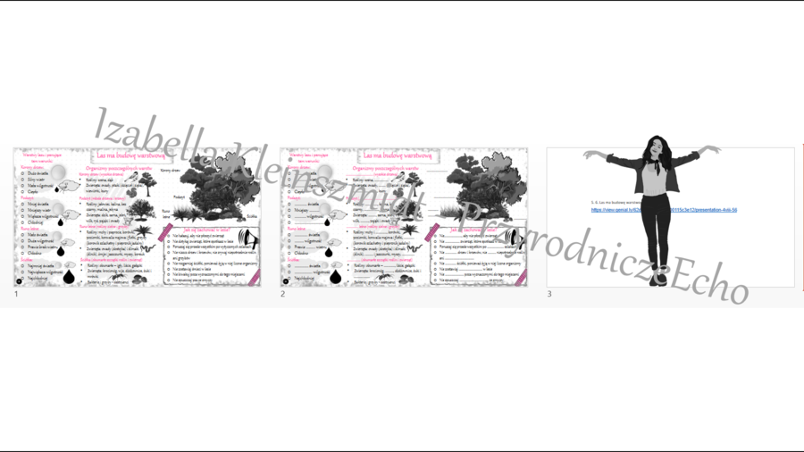 Mini zestaw do tematu „Las ma budowę warstwową” - sketchnotka + karta pracy + gratisowy link do prezentacji multimedialnej niekomercyjnej wykonanej w genial.ly do indywidualnego pobrania i użycia do celów niekomercyjnych. Przyroda klasa 4, dział VIII „Od