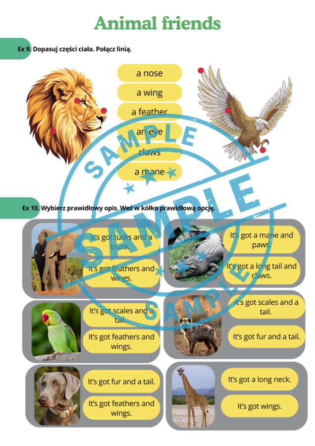 Stars and Heroes 3 - unit 2 - Animal Friends - Karty Pracy