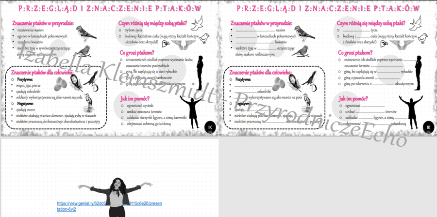 Mini zestaw do tematu „Przegląd i znaczenie ptaków” – Biologia klasa 6 - sketchnotka i karta pracy w pdf + gratisowy link do prezentacji multimedialnej niekomercyjnej wykonanej w genial.ly do indywidualnego pobrania i użycia do celów niekomercyjnych. Bio