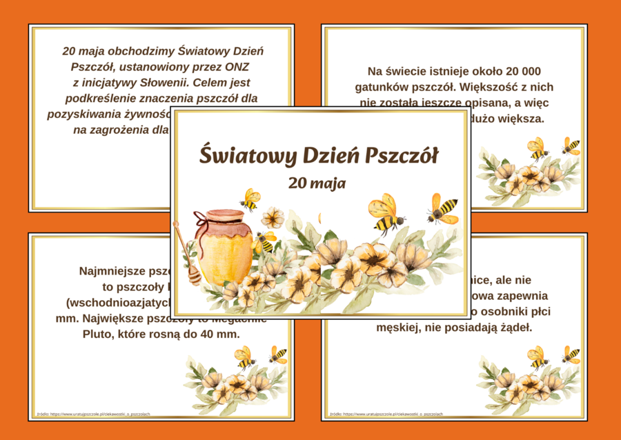 DZIEŃ PSZCZÓŁ – ciekawostki o pszczołach – wiosna – GAZETKA – biblioteka – świetlica – 13 stron – wersja 1