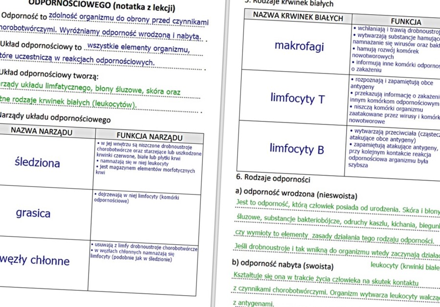Budowa i funkcjonowanie układu odpornościowego (gotowa notatka)