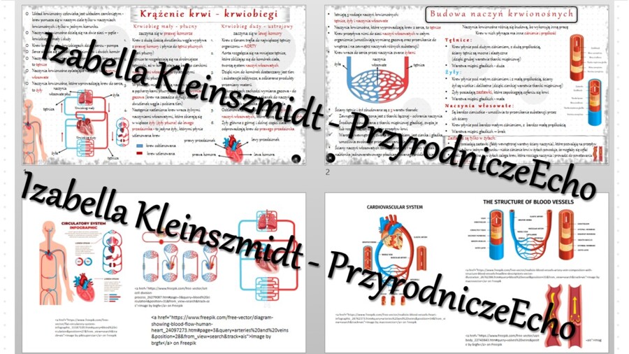 Sketchnotka - notatka „Krążenie krwi” wykonana w power point do edycji. Biologia 7; „Układ krążenia”