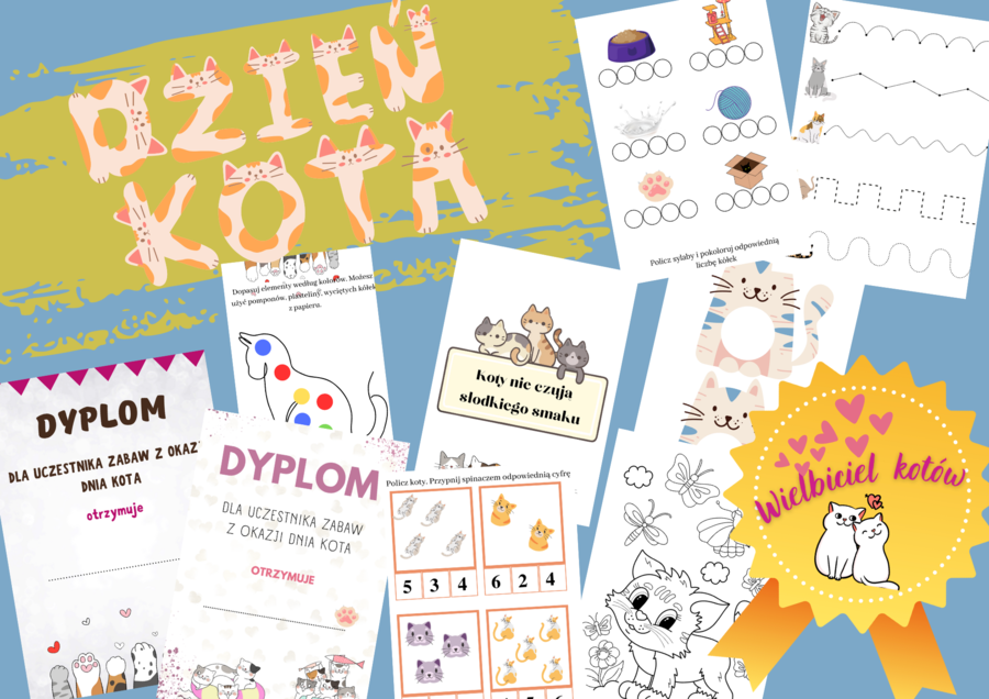 PAKIET DZIEŃ KOTA