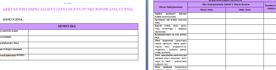 Dokument IPET oraz WOPFU