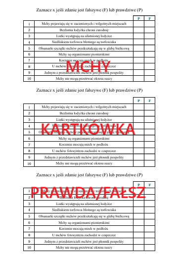 MCHY - KARTKÓWKA W FORMIE PRAWDA/FAŁSZ