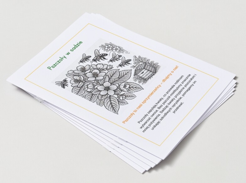 Kolorowanki ekologiczne (dla młodszych dzieci)