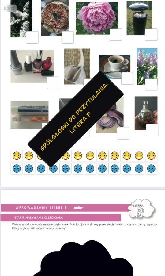 Spółgłoski do przytulania. Monografia litery P