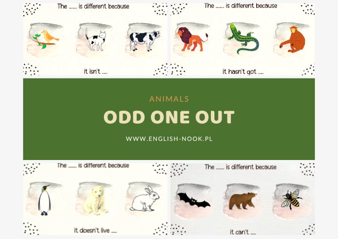 Odd one out - ANIMALS