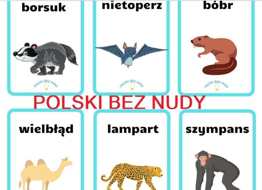 Czółko - zwierzęta