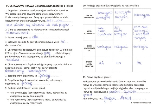 Podstawowe prawa dziedziczenia