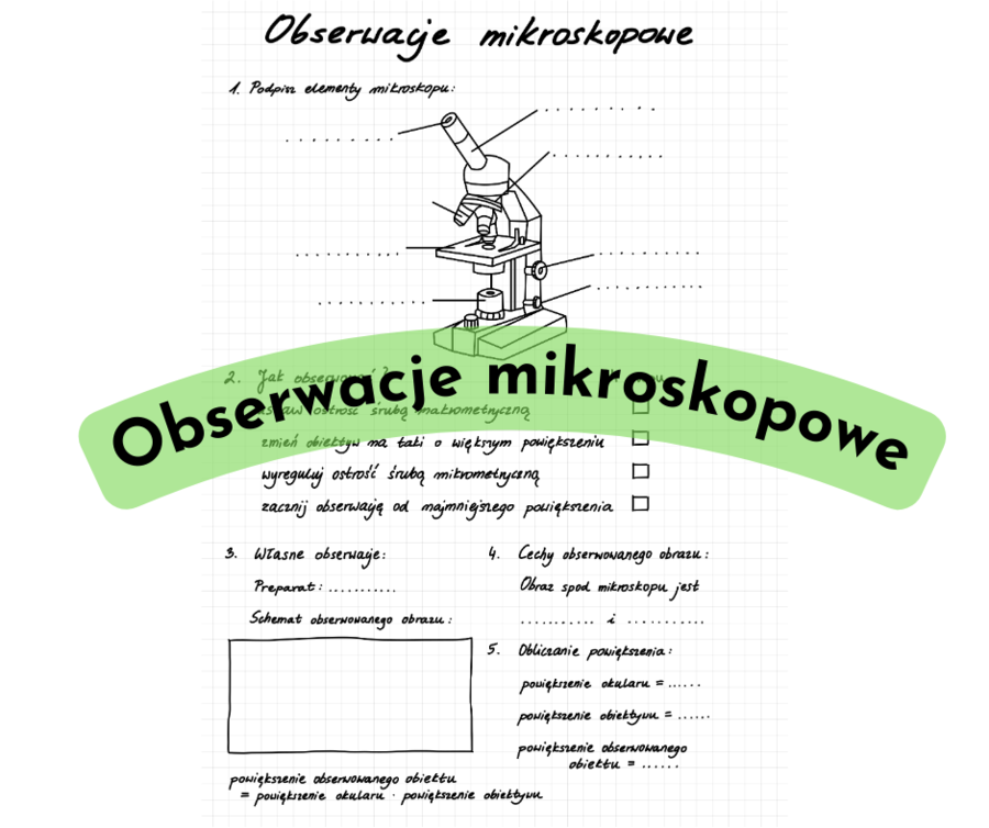 Obserwacje mikroskopowe - karta pracy