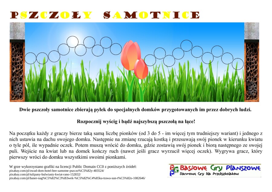 Pszczoły samotnice – Gra planszowa