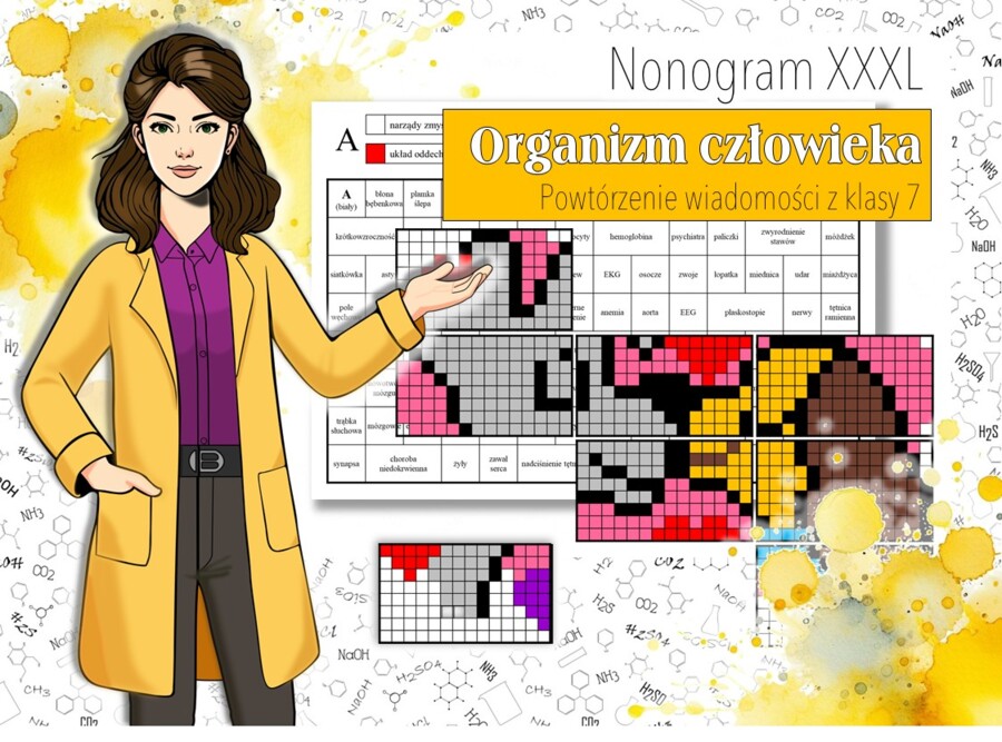 Klasa 7/8. Biologia. Budowa człowieka. Budowa układów narządów człowieka. Powtórzenie. Kolorowanka biologiczna. Nonogram w formacie XXL. Karta pracy. Zadanie. Praca grupowa. MOC powtórki.