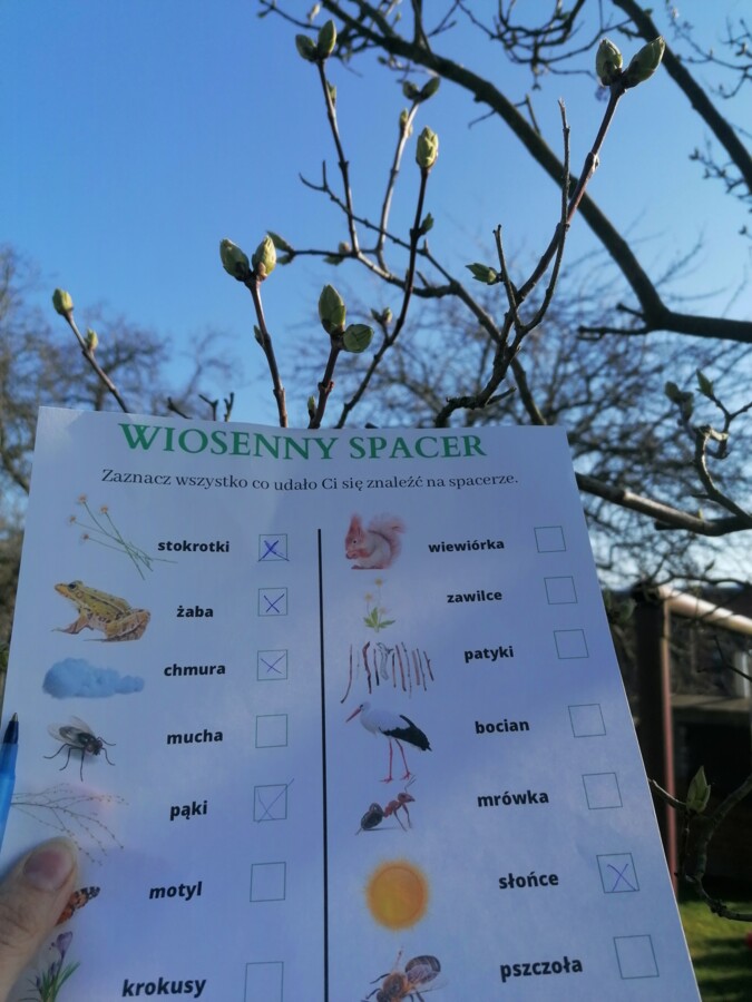 Wiosenne lupy i karty spaceru