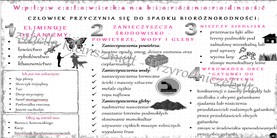 Sketchnotka „Wpływ człowieka na różnorodność biologiczną”. Biologia klasa 8, dział IV „Człowiek i środowisko” Materiał cyfrowy