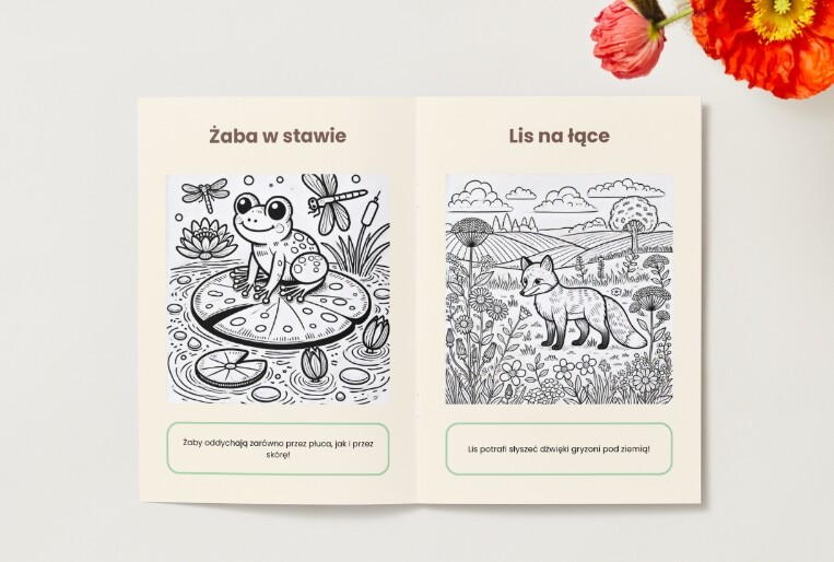 Kolorowanki. Zwierzęta. Rośliny. Grzyby. Ekosystemy