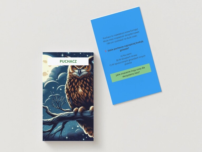 Karty edukacyjne. Zwierzęta. Rośliny. Grzyby. Ekologia.