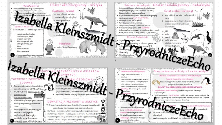 Zestaw sketchnotek – notatek do całego działu „Obszary okołobiegunowe” wykonanych w power point do edycji. Geografia 8