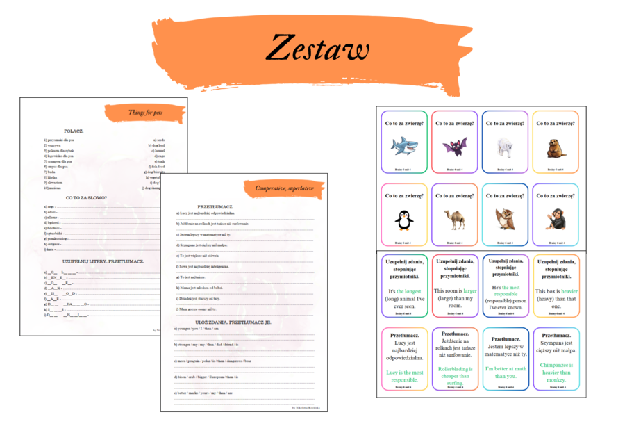 Brainy 6 unit 4 zestaw karty pracy + karty do gier