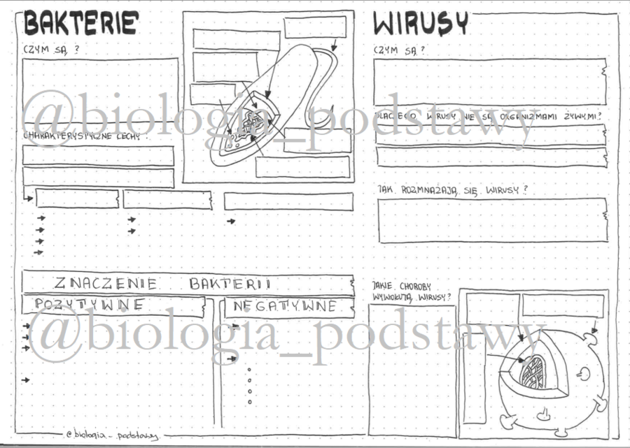 Klasa 5 - Bakterie i wirusy - karta pracy