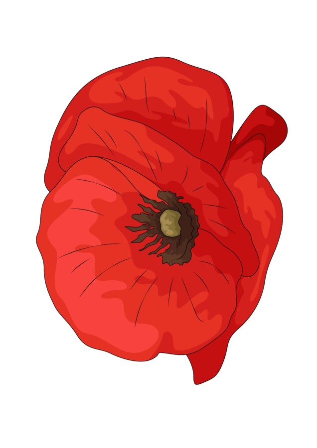 Scenariusz obchodów 3 Maja