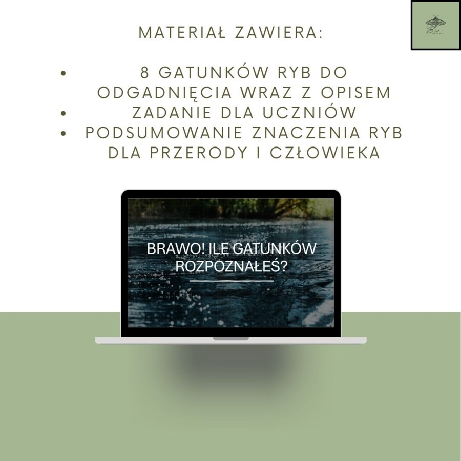 Przegląd i znaczenie ryb - gra zgadnij kto to