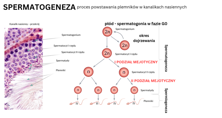 KLASA 3 rozszerzenie - PAKIET NA CAŁY ROK