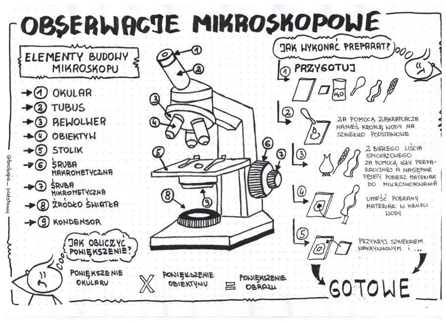 Obserwacje mikroskopowe - klasa 5 - sketchnotka KP