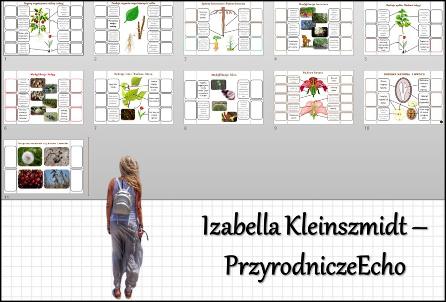 Zestaw notatek okienkowych. Stacje zadaniowe/notatki/notatki graficzne/karty pracy/sketchnotki/projekt/lekcje w terenie do działu „Tkanki i organy roślinne” w pdf. Biologia 5.