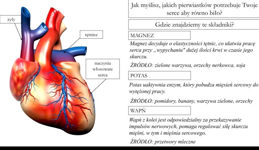 Jak uczyć biologii kreatywnie? Sketchnotki, eksperymenty i odkrywcze lekcje – webinar Anety Górzyńskiej