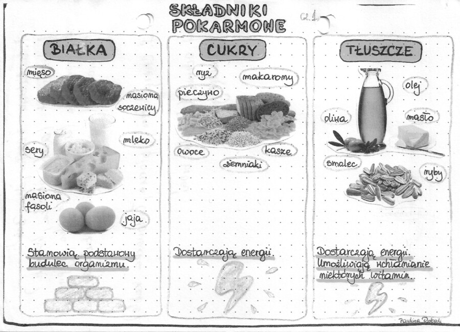 Składniki pokarmowe - białka, cukry, tłuszcze - szarość