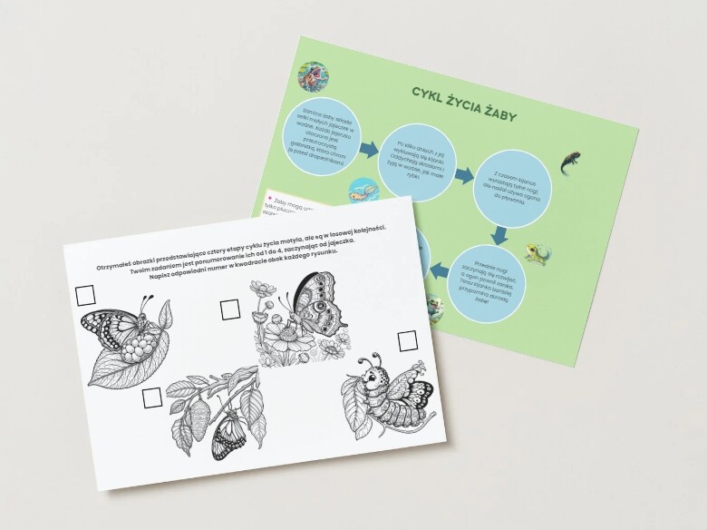 Cykl życia wybranych zwierząt (motyla, żaby, pszczoły)