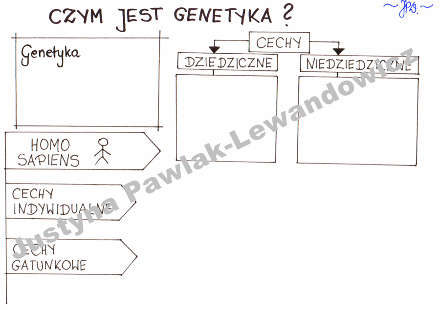 Czym jest genetyka? (karta pracy)