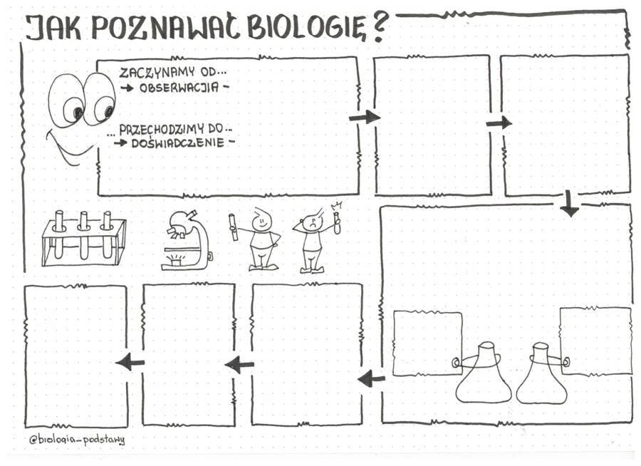 Jak poznawać biologię - klasa 5 sketchnotka
