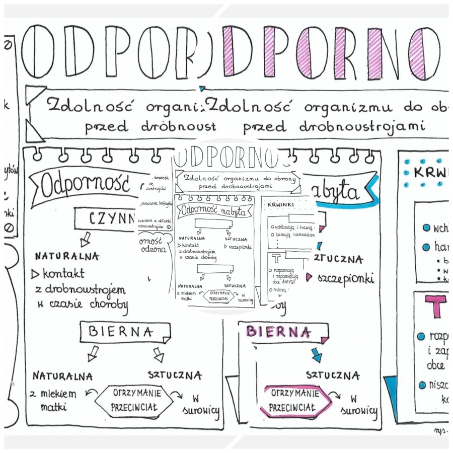Odporność - skethcnotka