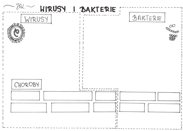 Wirusy i bakterie (karta pracy)