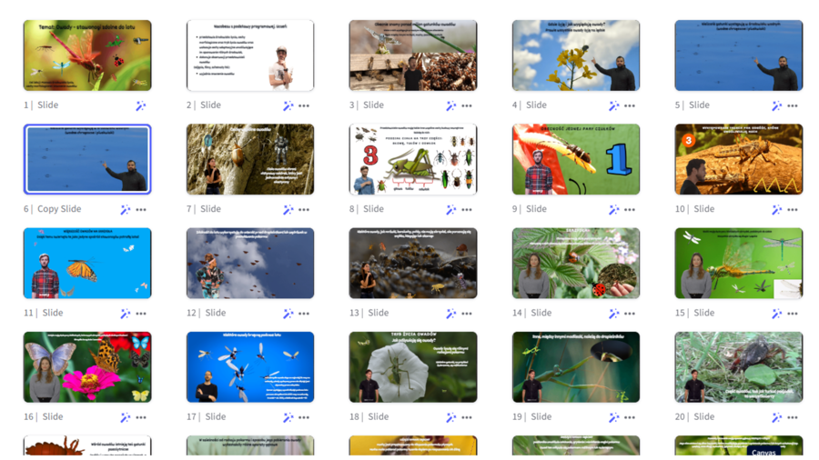Prezentacja multimedialna w genial.ly „ Owady - stawonogi zdolne do lotu” – do edycji i pobrania – biologia klasa VI, dział III – temat 3