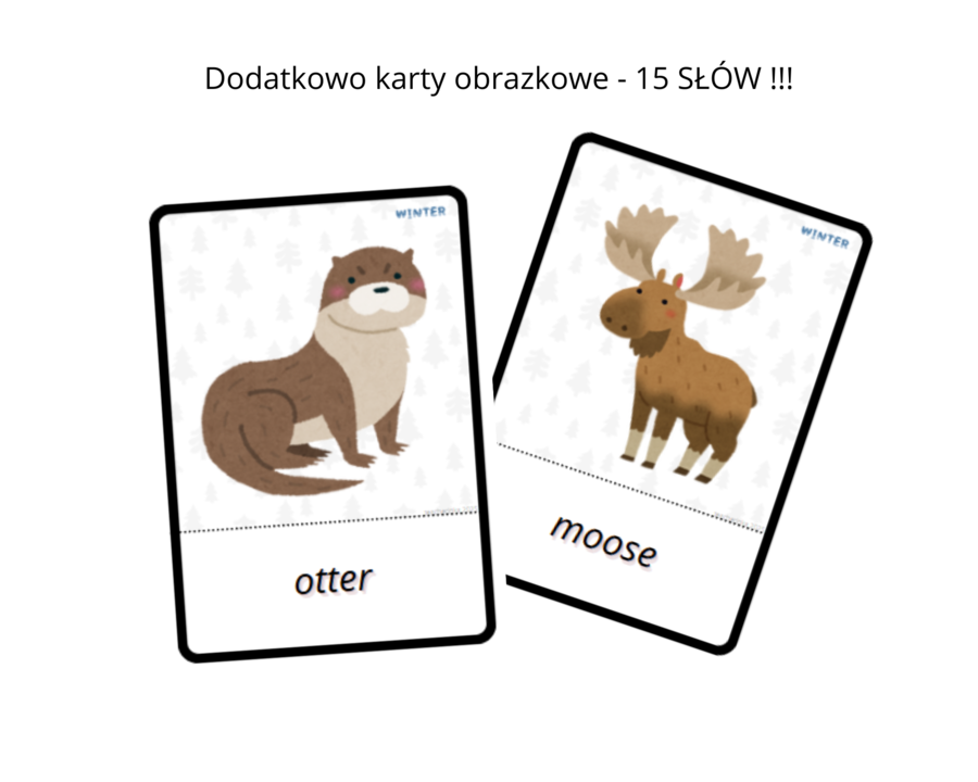 Winter Artic Animals Worksheet Set + Flashcards- zwierzęta arktyczne, karty pracy dla przedszkolaka, ucznia zerówki przedszkolnej, I spy, sudoku, labirynt, karty obrazkowe , język angielski