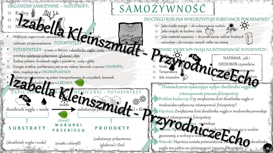 Sketchnotka - notatka „Samożywność” wykonana w power point do edycji. Biologia 5; „Budowa i czynności życiowe organizmów”