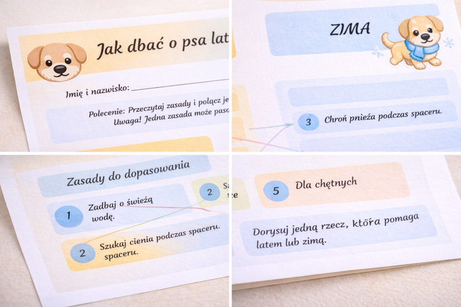 Jak dbać o psa latem i zimą?