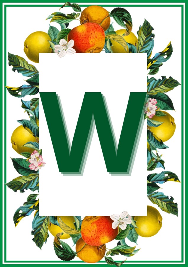 GIRLANDA: 28 WRZEŚNIA DZIEŃ JABŁKA