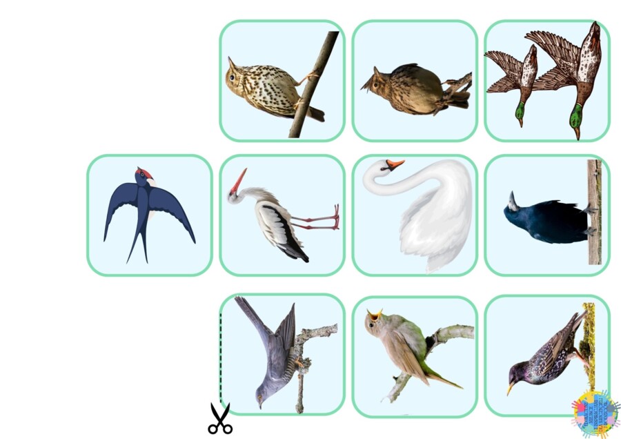 DZIEŃ PTAKÓW - EDUKACYJNA PRZYGODA DLA DZIECI